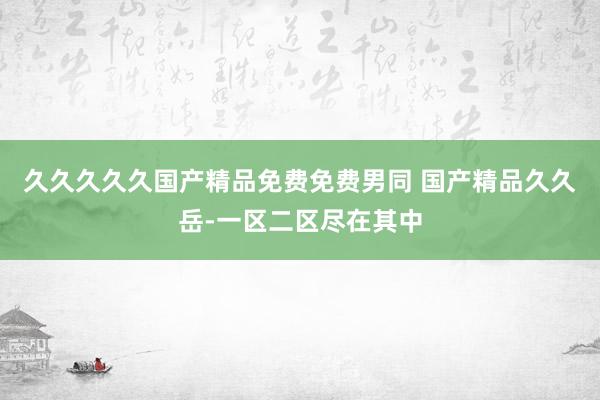 久久久久久国产精品免费免费男同 国产精品久久岳-一区二区尽在其中