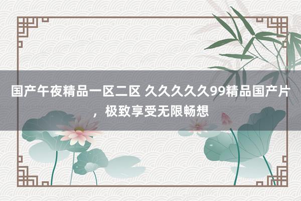 国产午夜精品一区二区 久久久久久99精品国产片，极致享受无限畅想